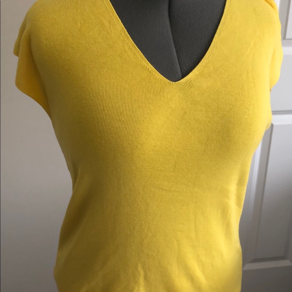 GREAT BUY! NWT TALBOLTS V neck soft top